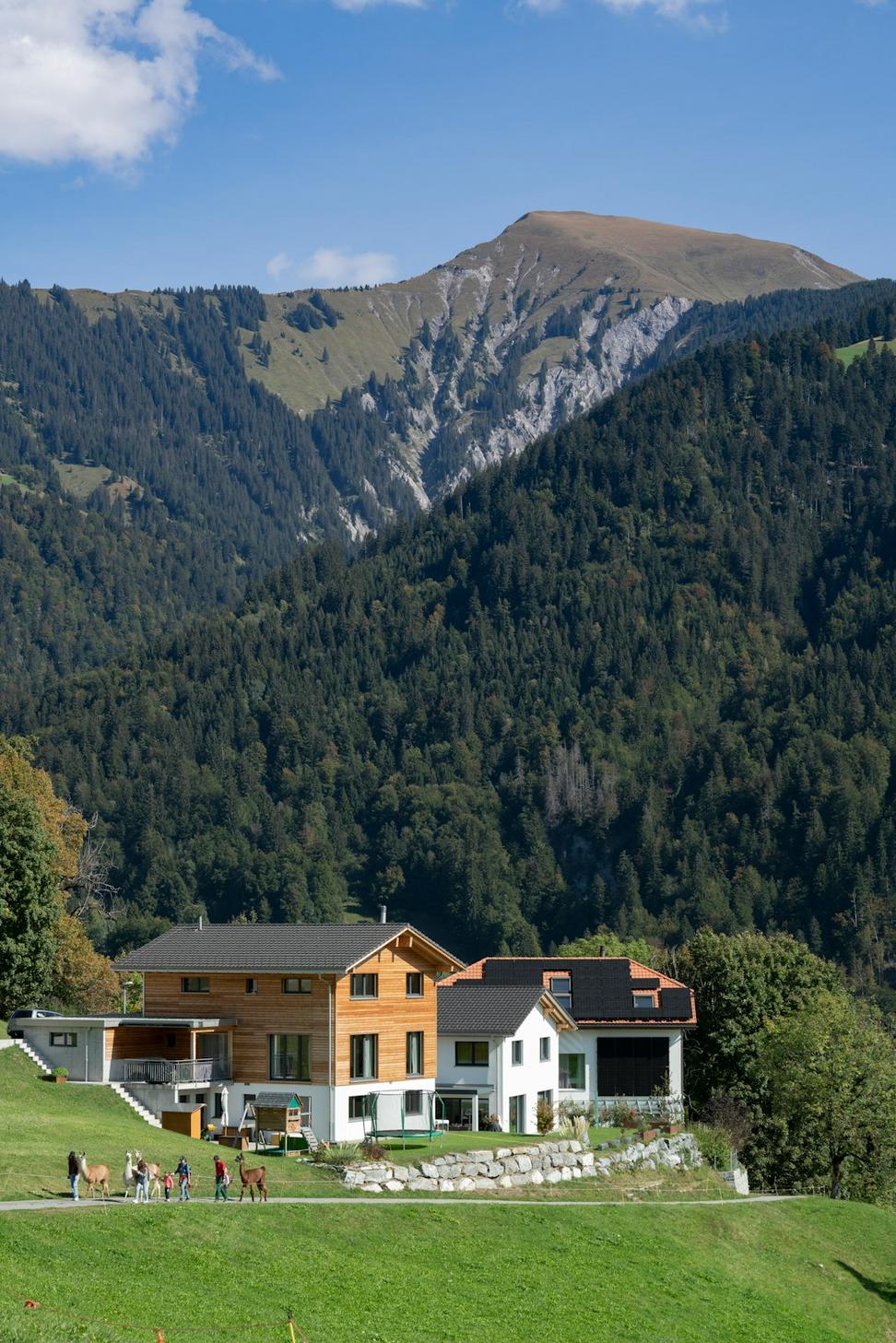 Mountain Vista