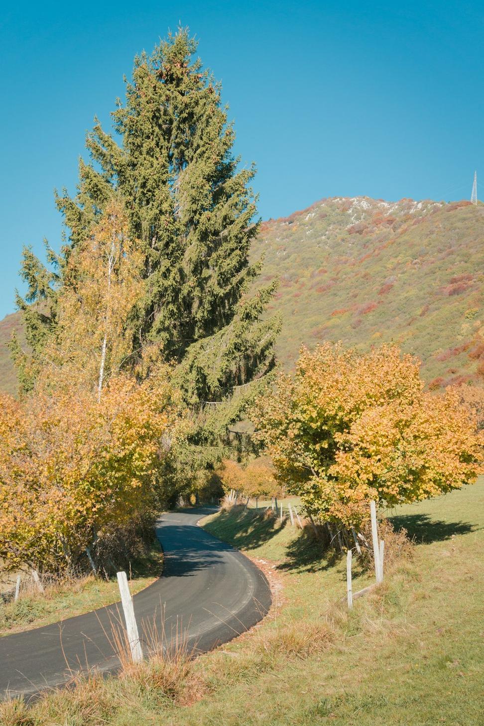 Fall Mountain Biking