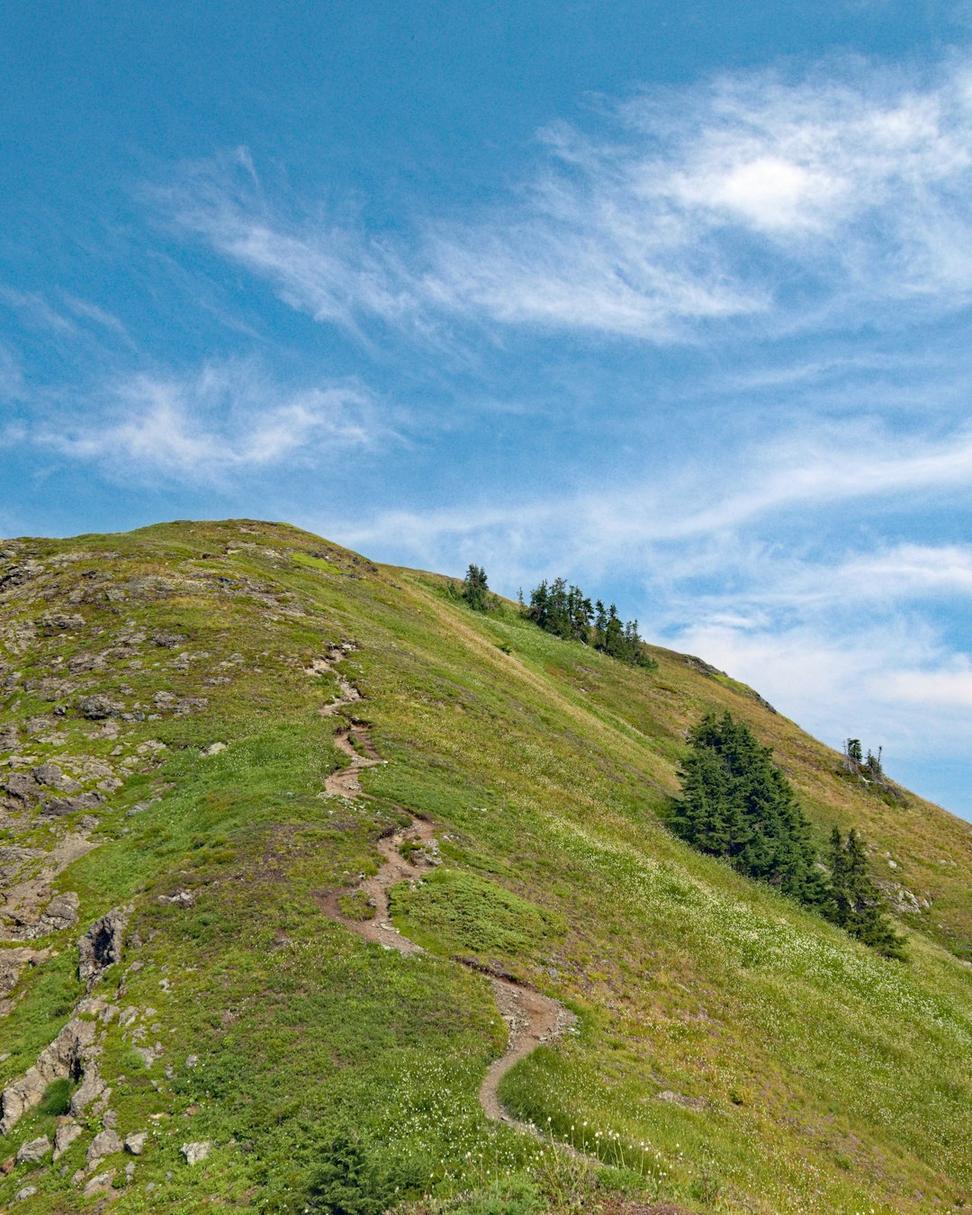 Alpine Hiking