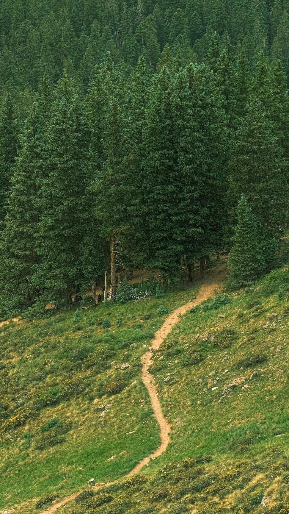 Trail Map