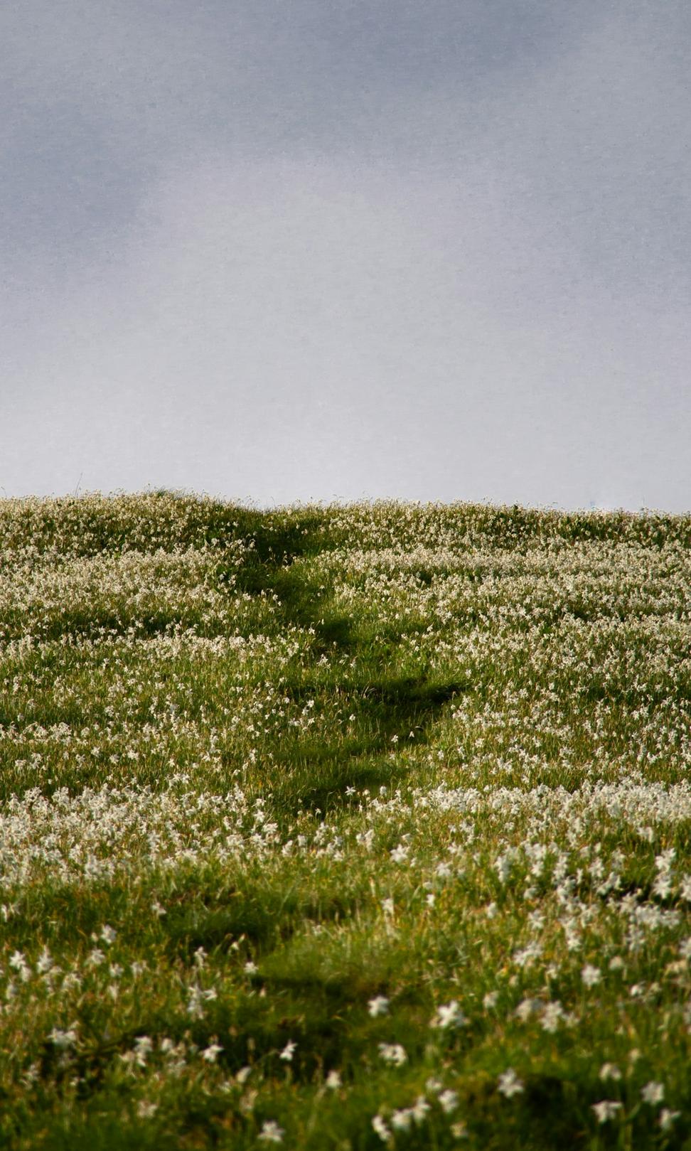 Spring Hiking