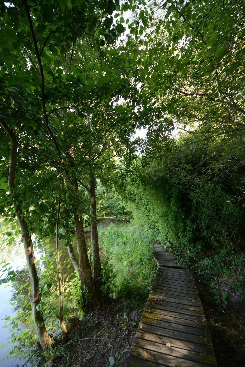 Riverside Ramble